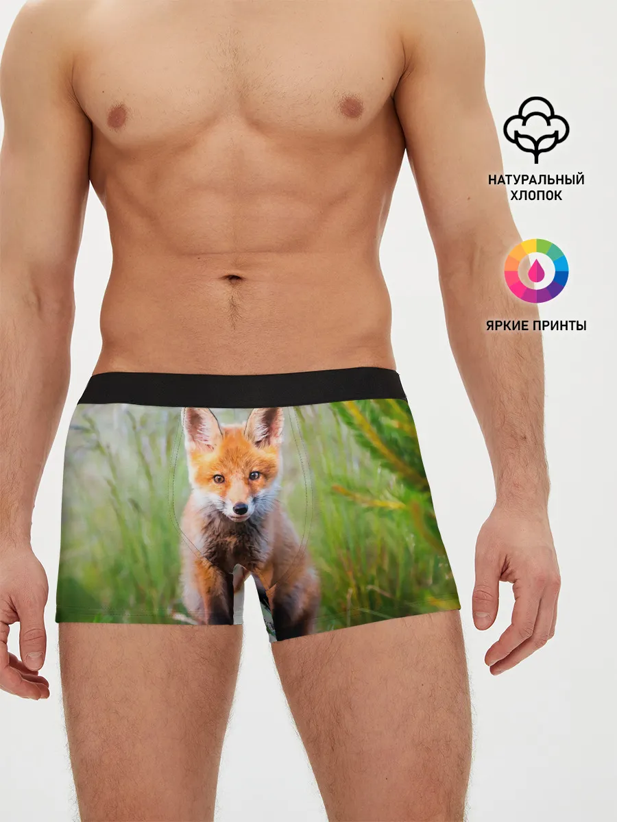 Мужские трусы боксеры / Лисичка