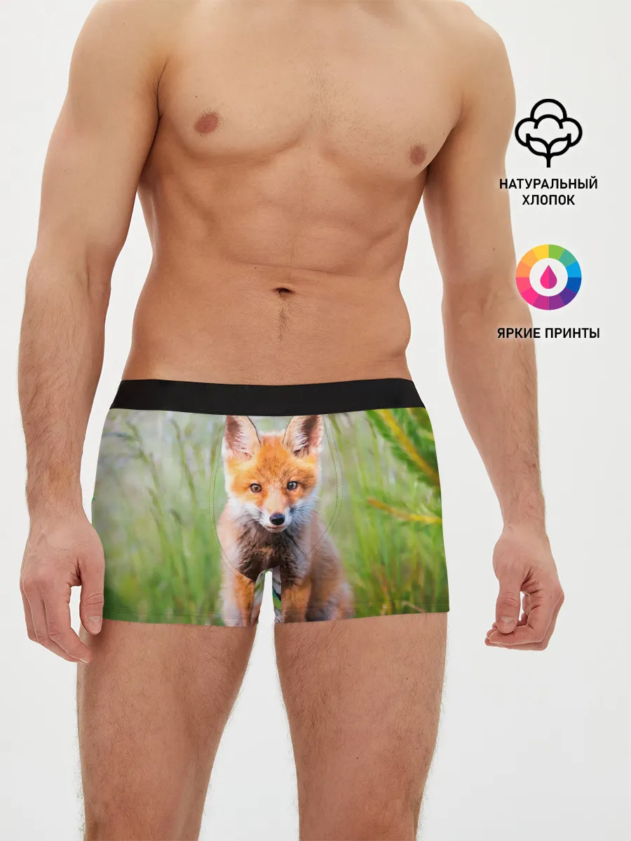 Мужские трусы боксеры / Лисичка