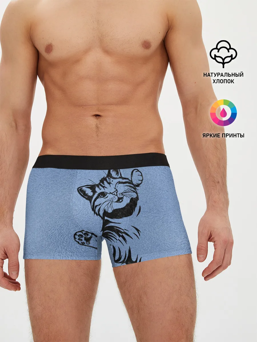 Мужские трусы боксеры / Улыбающийся кот