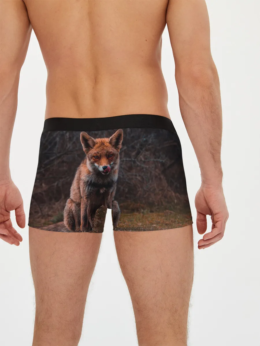 Мужские трусы боксеры / Хищная лисица