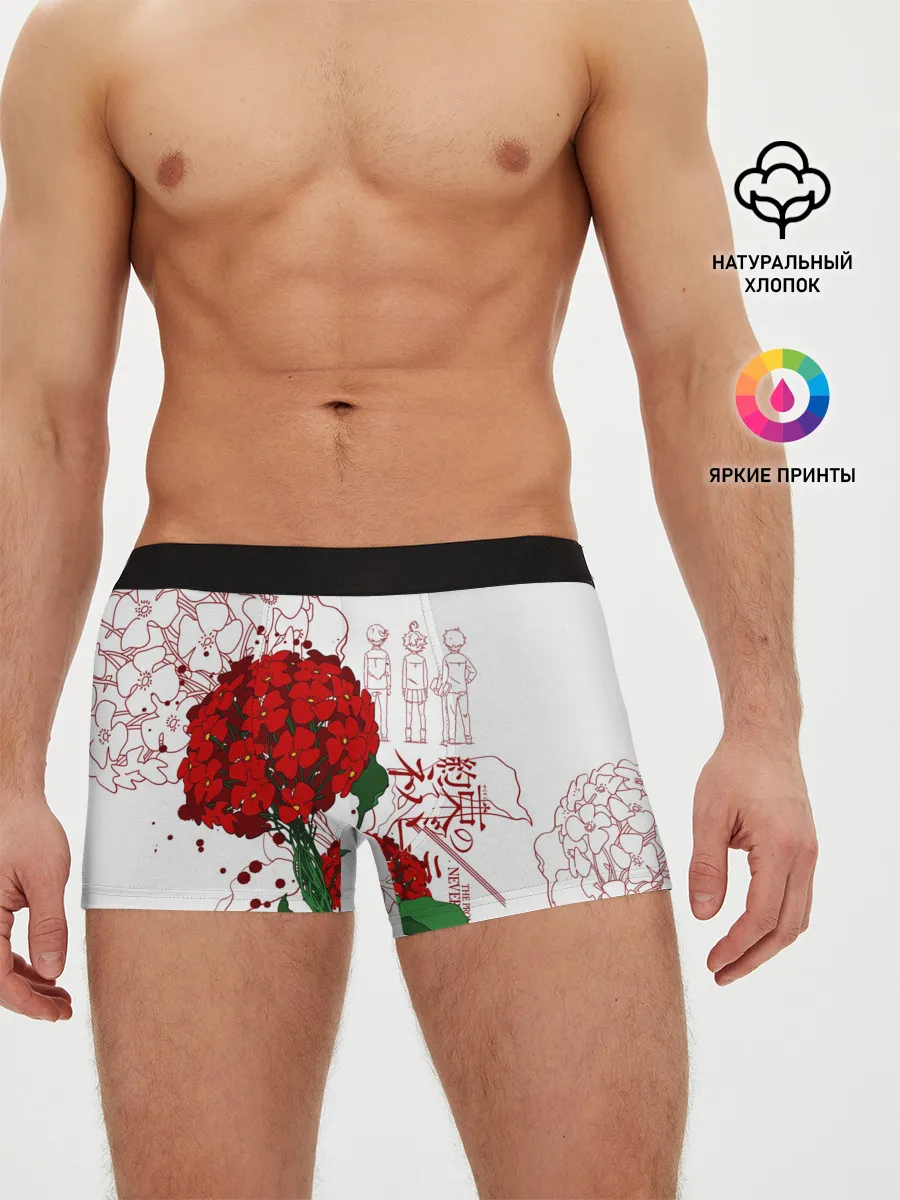 Мужские трусы боксеры / Обещанный Неверленд