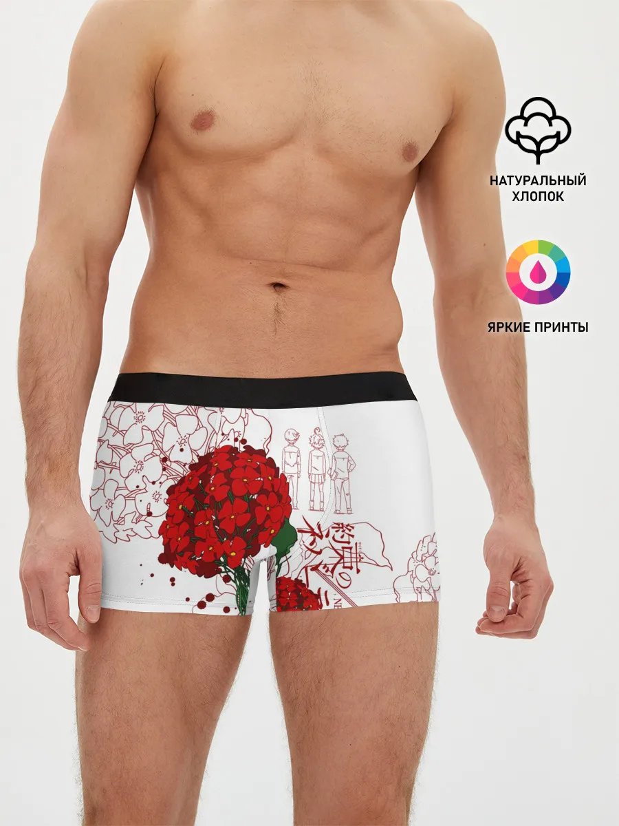 Мужские трусы боксеры / Обещанный Неверленд