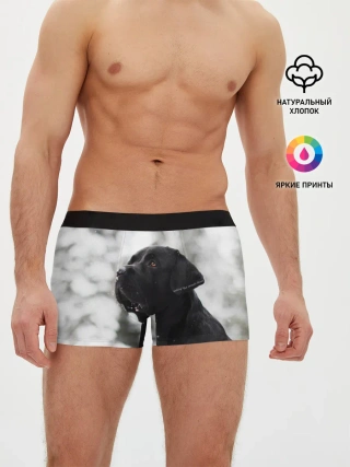 Мужские трусы боксеры / Лабрадор Марк