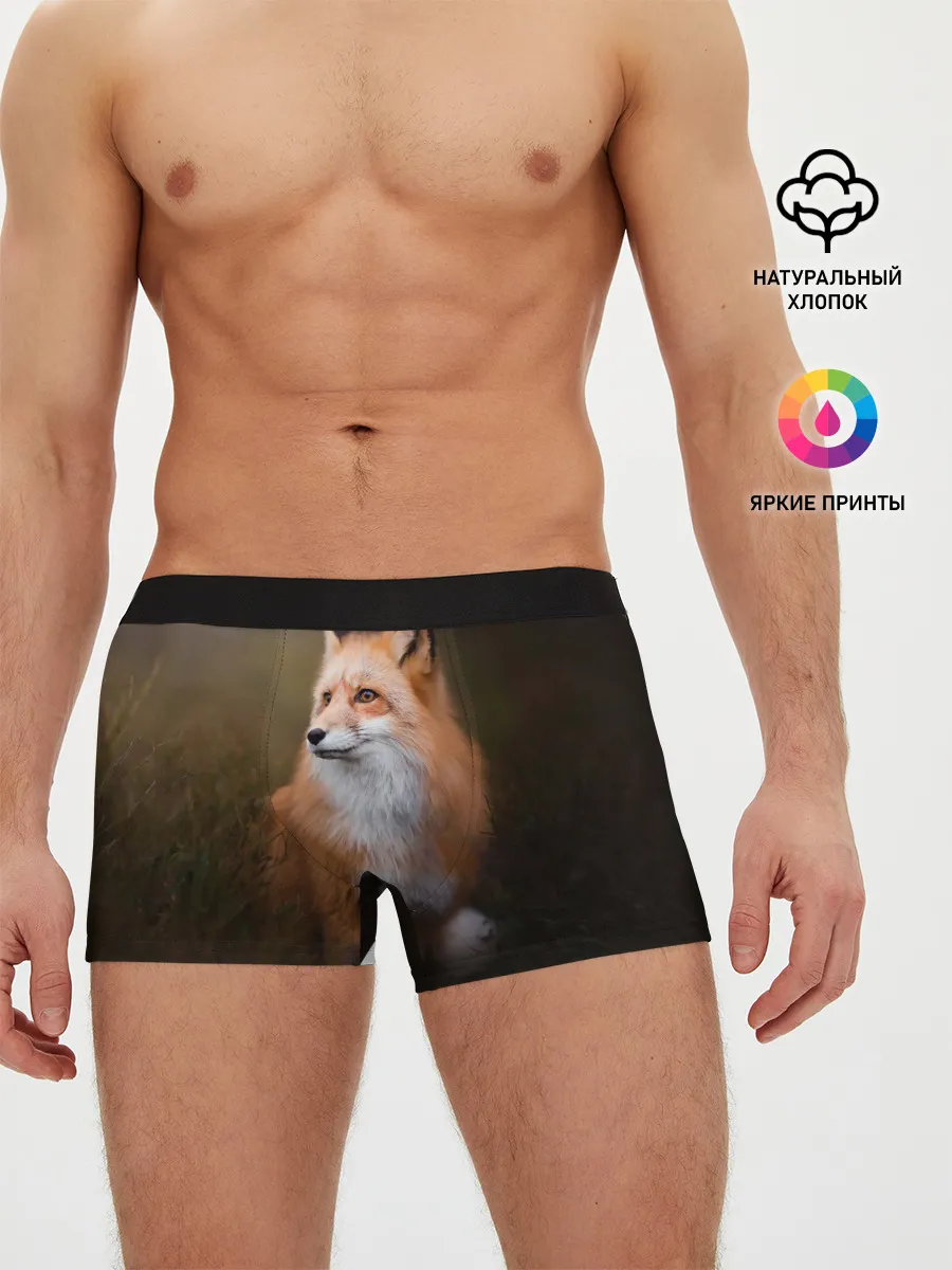 Мужские трусы боксеры / Лиса-охотница