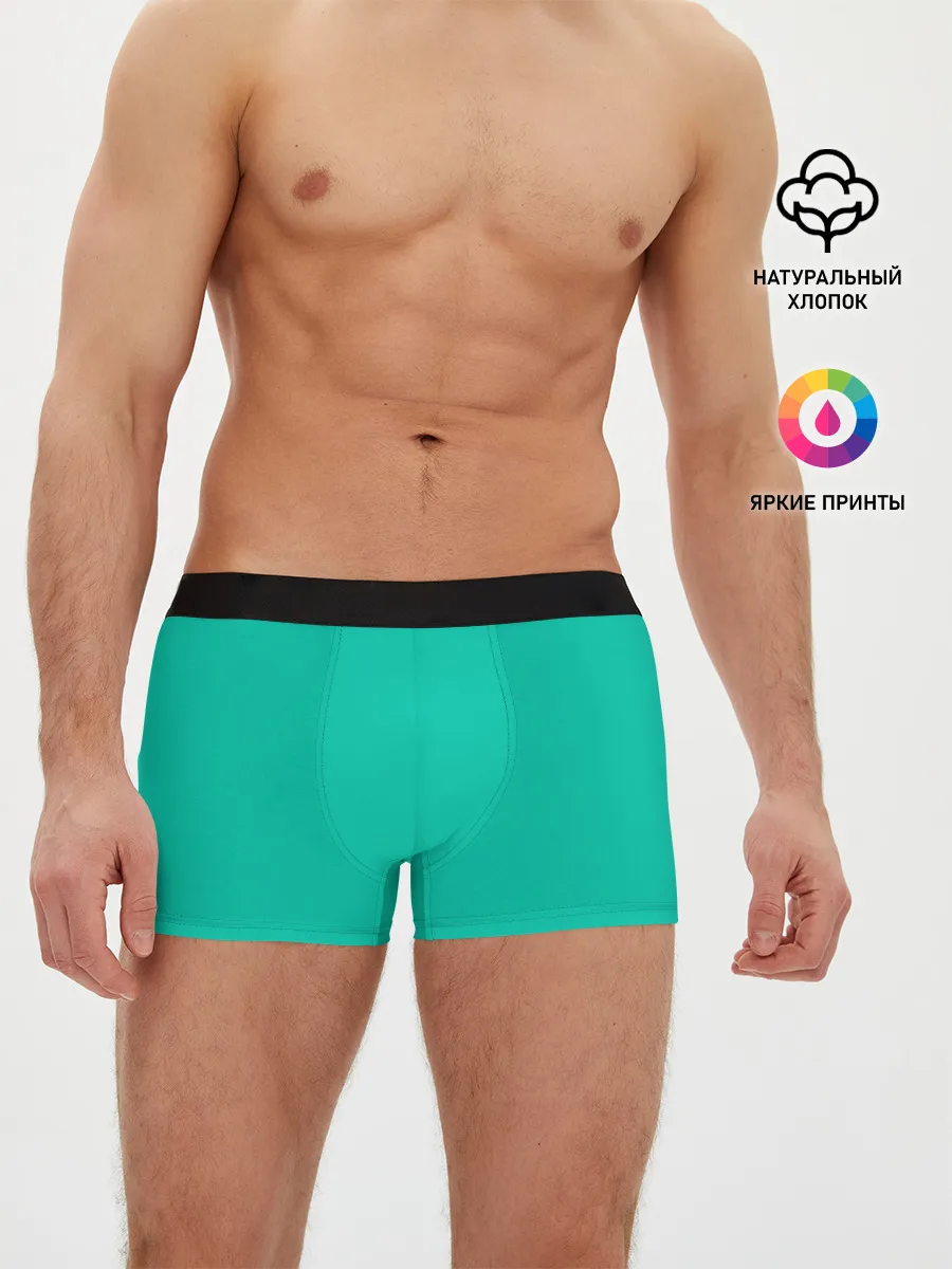 Мужские трусы боксеры / Бискайский зеленый без рисунка