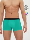 Мужские трусы боксеры / Бискайский зеленый без рисунка