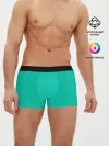 Мужские трусы боксеры / Бискайский зеленый без рисунка