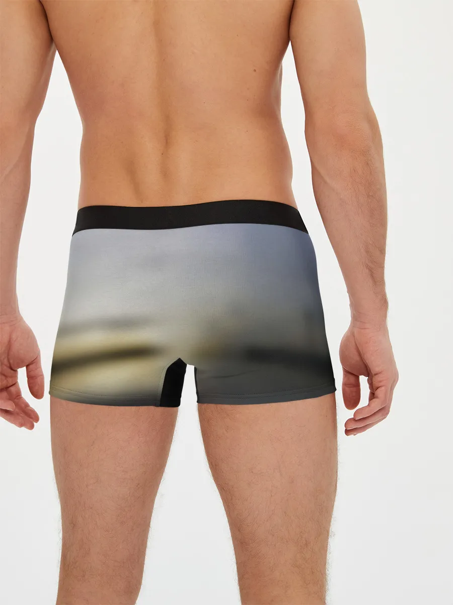 Мужские трусы боксеры / Tesla Roadster