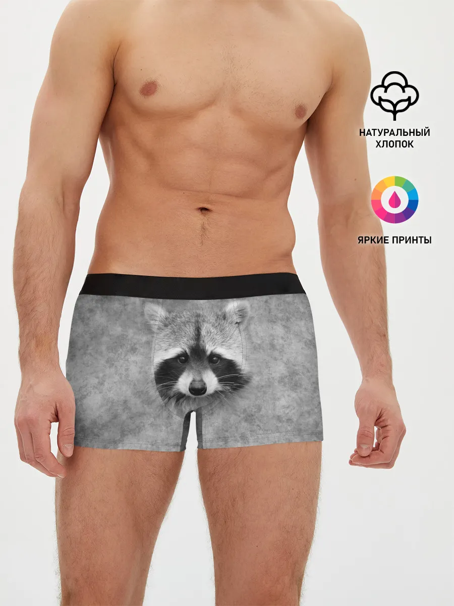 Мужские трусы боксеры / Енот