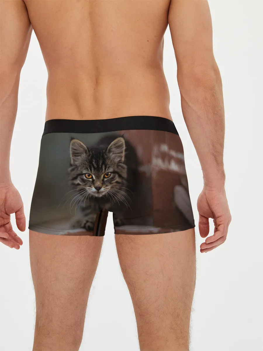 Мужские трусы боксеры / мой внутренний зверь