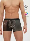 Мужские трусы боксеры / мой внутренний зверь