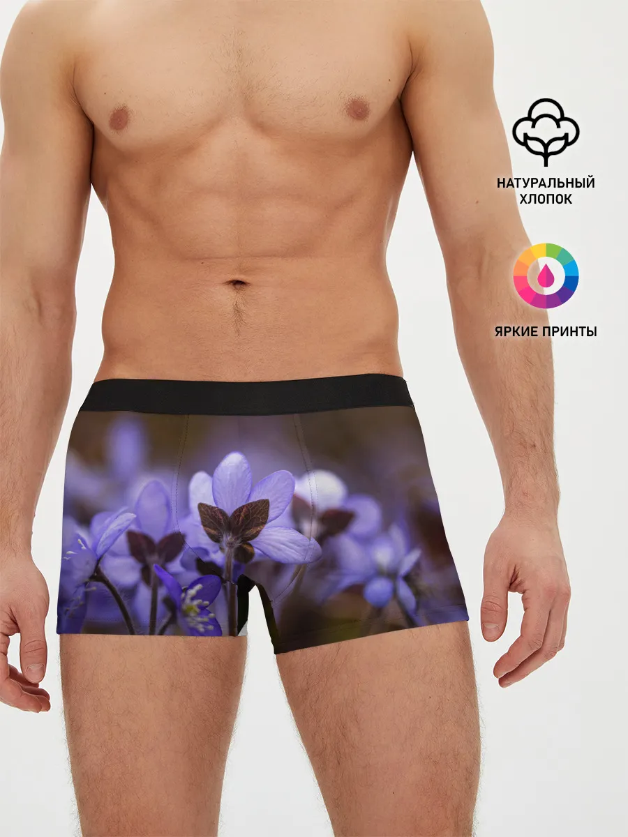 Мужские трусы боксеры / хрупкий цветок фиалка