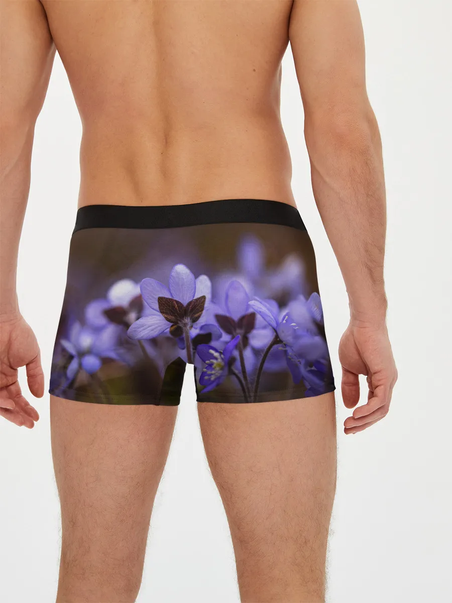 Мужские трусы боксеры / хрупкий цветок фиалка