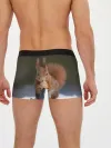 Мужские трусы боксеры / белка с орехом на снегу
