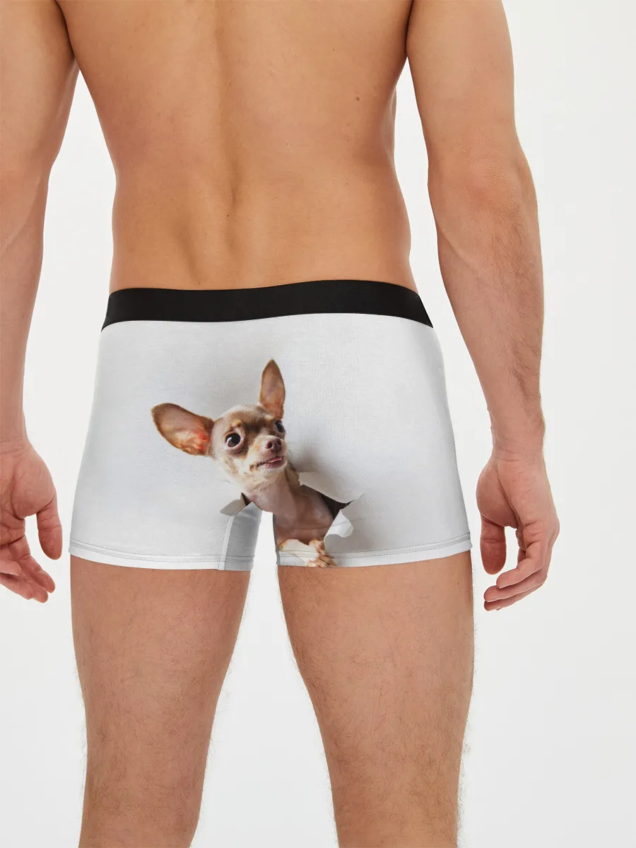 Мужские трусы боксеры / Чихуахуа из бумаги вылазит