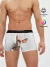 Мужские трусы боксеры / Чихуахуа из бумаги вылазит