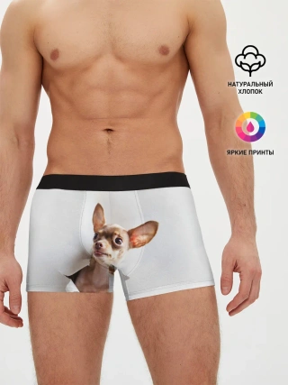 Мужские трусы боксеры / Чихуахуа из бумаги вылазит