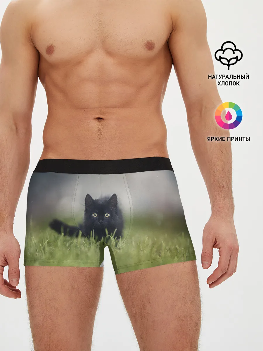 Мужские трусы боксеры / черный кот на лугу