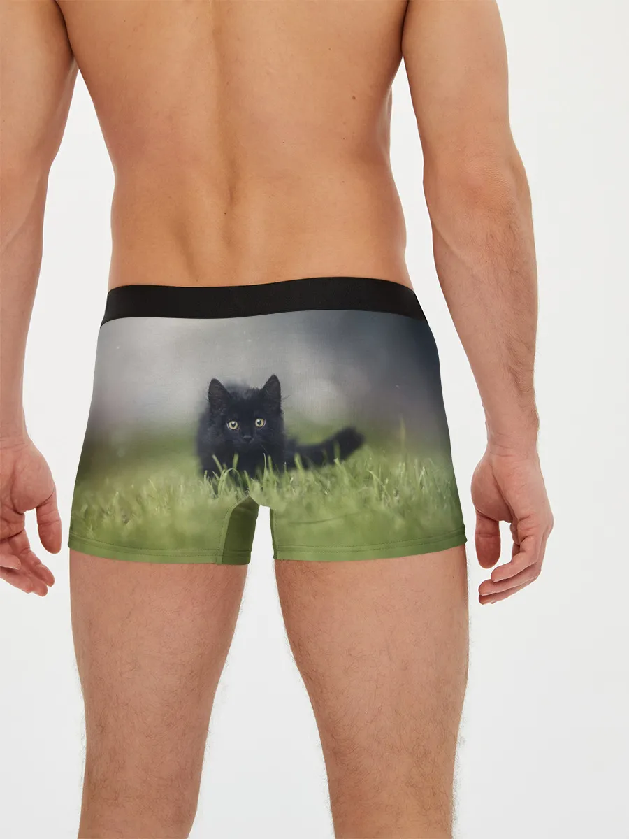Мужские трусы боксеры / черный кот на лугу