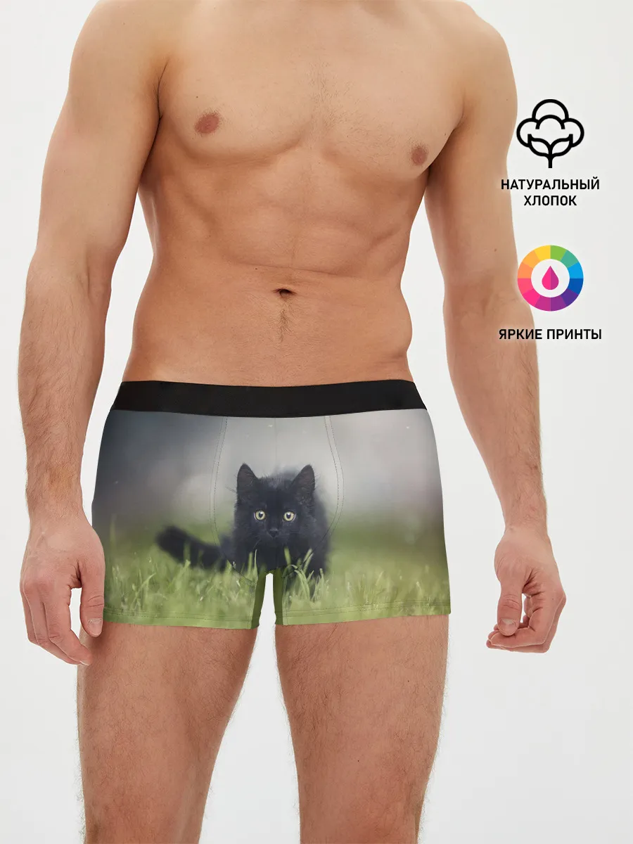 Мужские трусы боксеры / черный кот на лугу