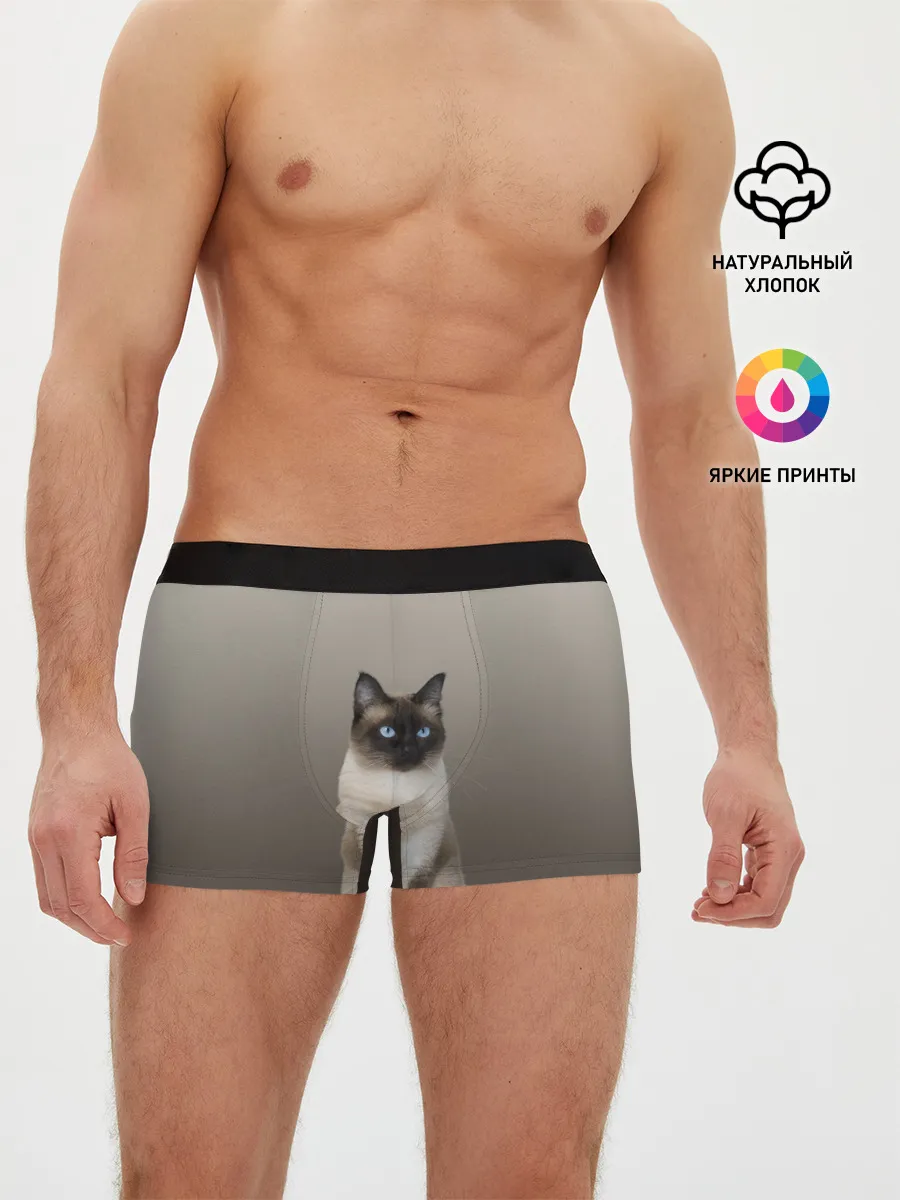 Мужские трусы боксеры / Сиамский кот голубые глаза
