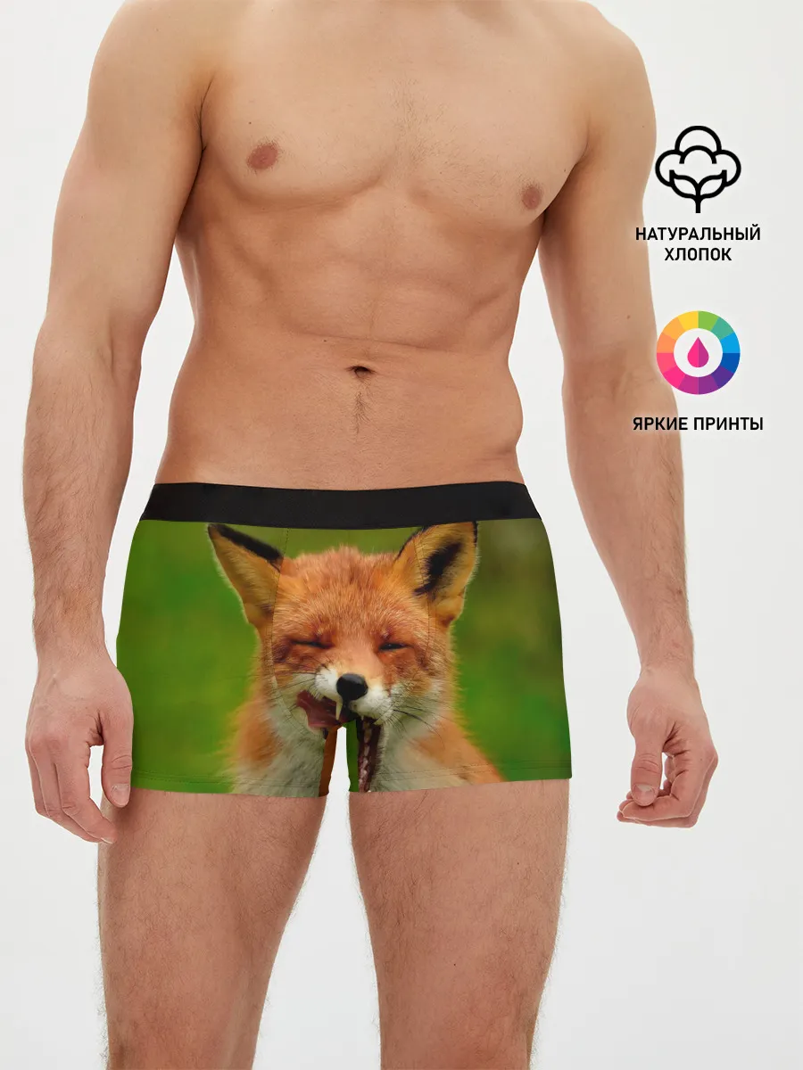 Мужские трусы боксеры / Лисица