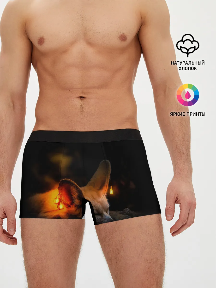 Мужские трусы боксеры / Лисичка с фонариками