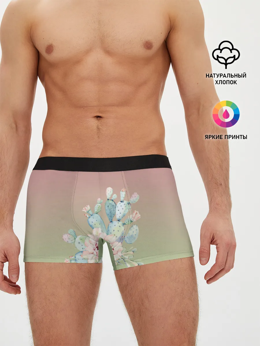 Мужские трусы боксеры / суккулент градиент