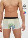 Мужские трусы боксеры / Чашка с суккулентами
