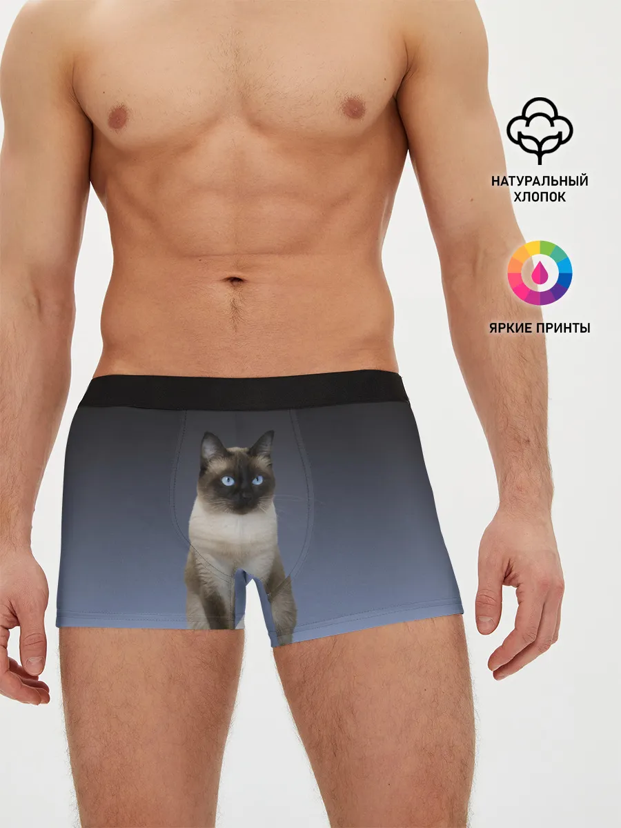 Мужские трусы боксеры / сиамская милая кошечка