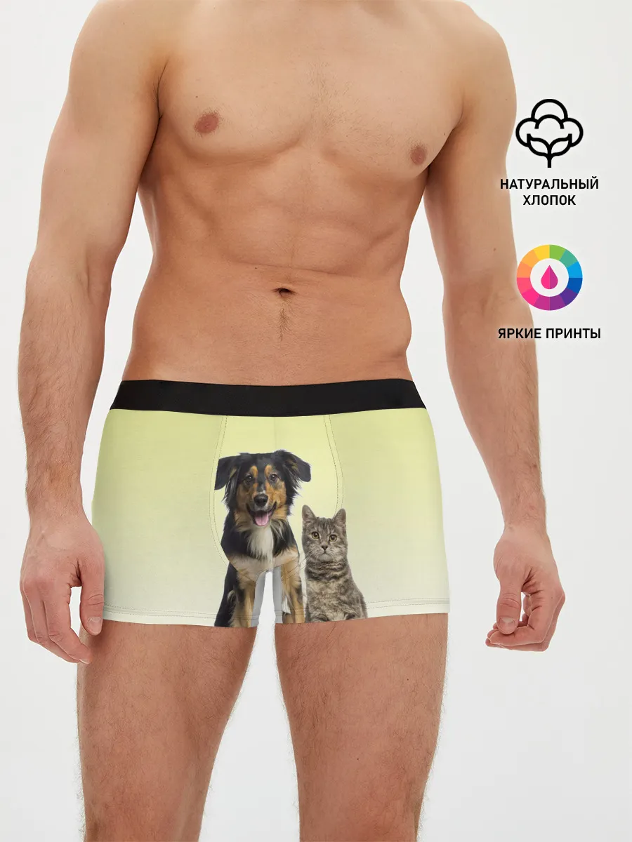 Мужские трусы боксеры / кошка и собака друзья