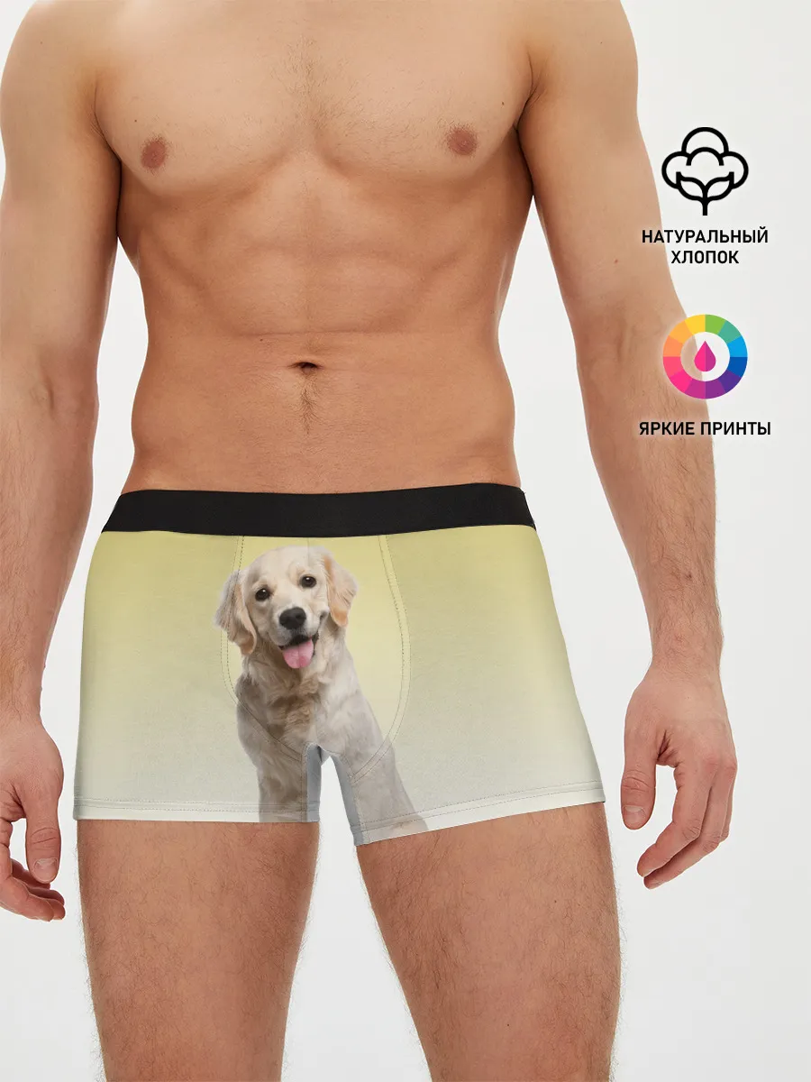 Мужские трусы боксеры / Лабрадор ретривер пес