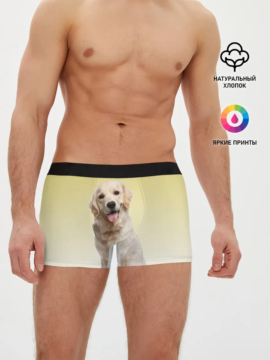 Мужские трусы боксеры / Лабрадор ретривер пес