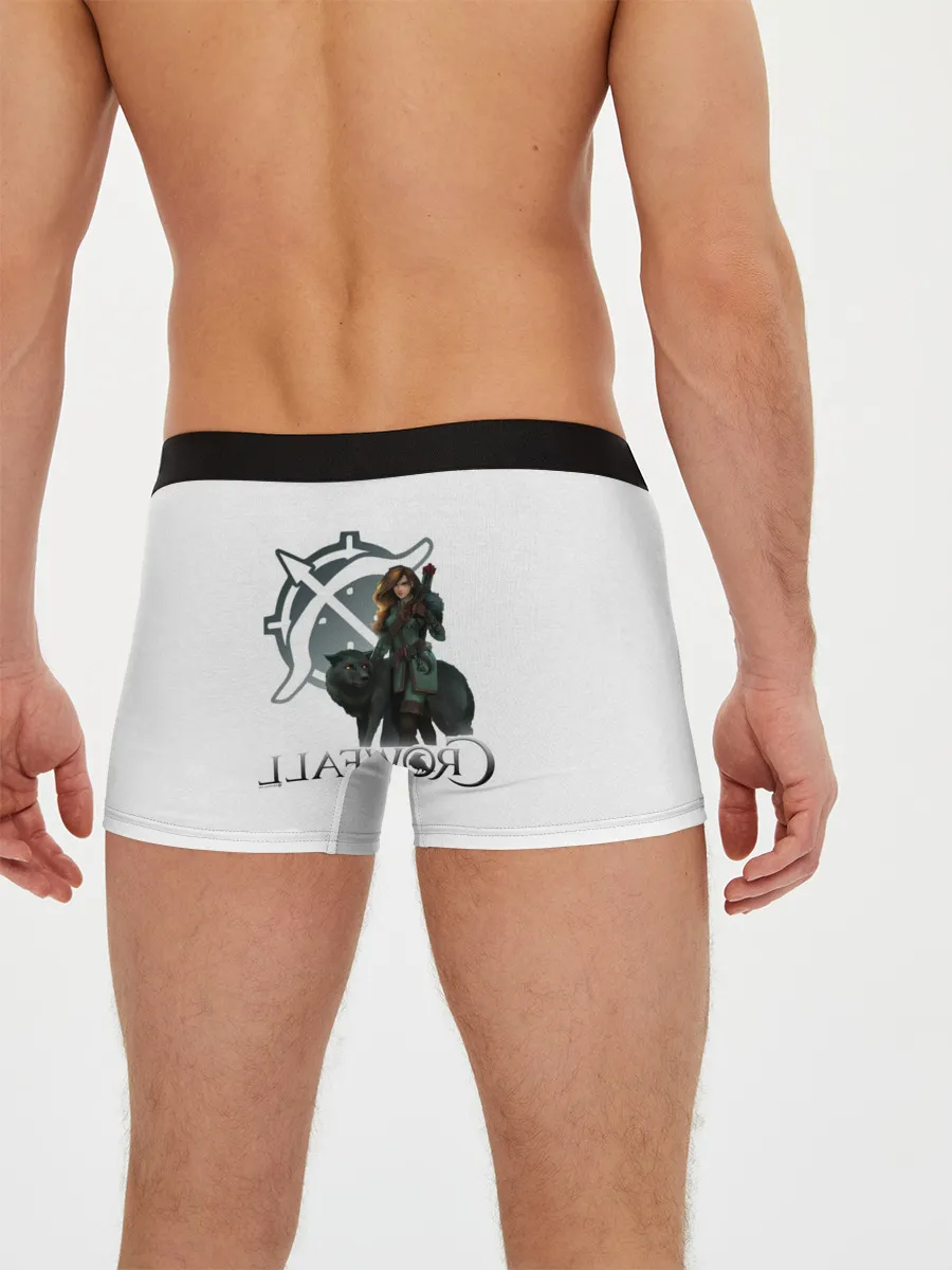 Мужские трусы боксеры / Crowfall | Ranger