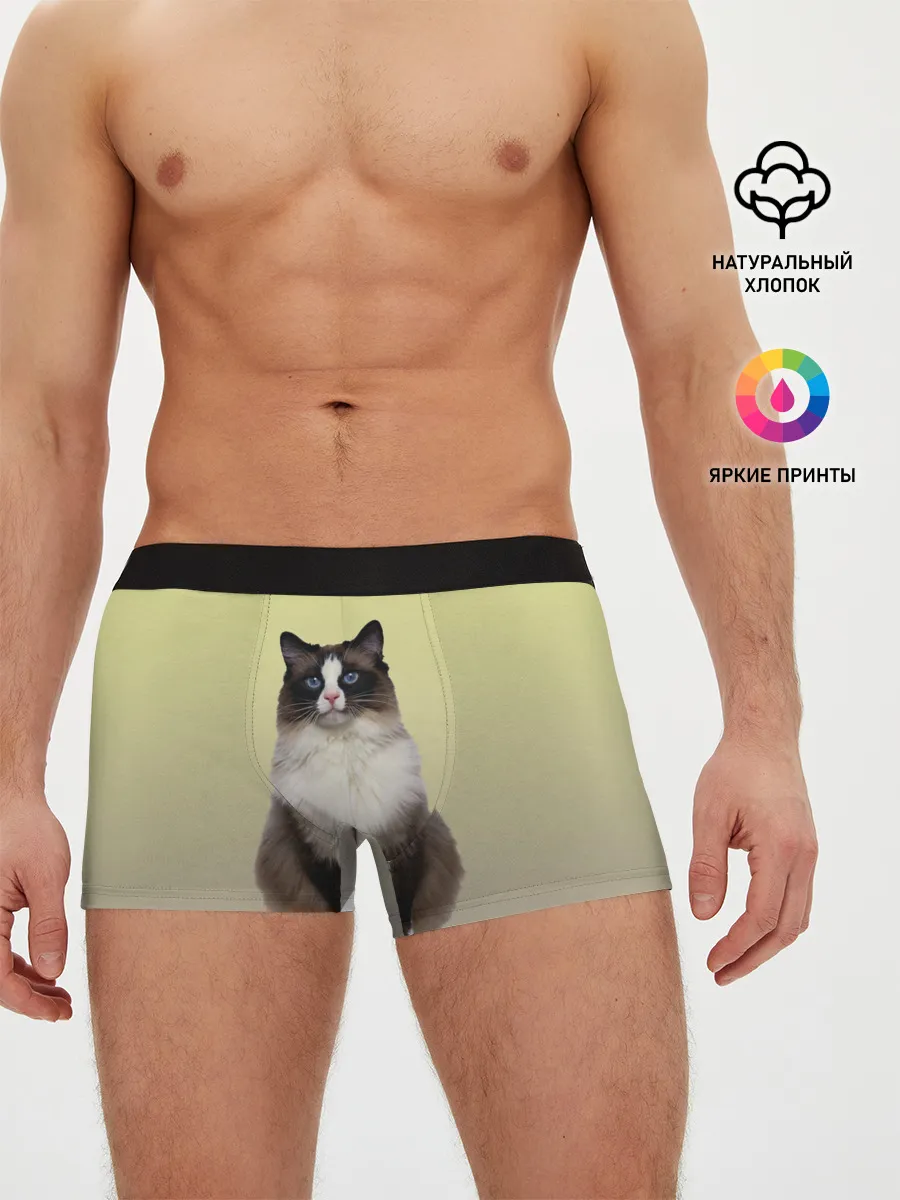 Мужские трусы боксеры / персидская пушистая кошка