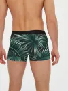 Мужские трусы боксеры / Папоротник