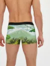 Мужские трусы боксеры / Тропики