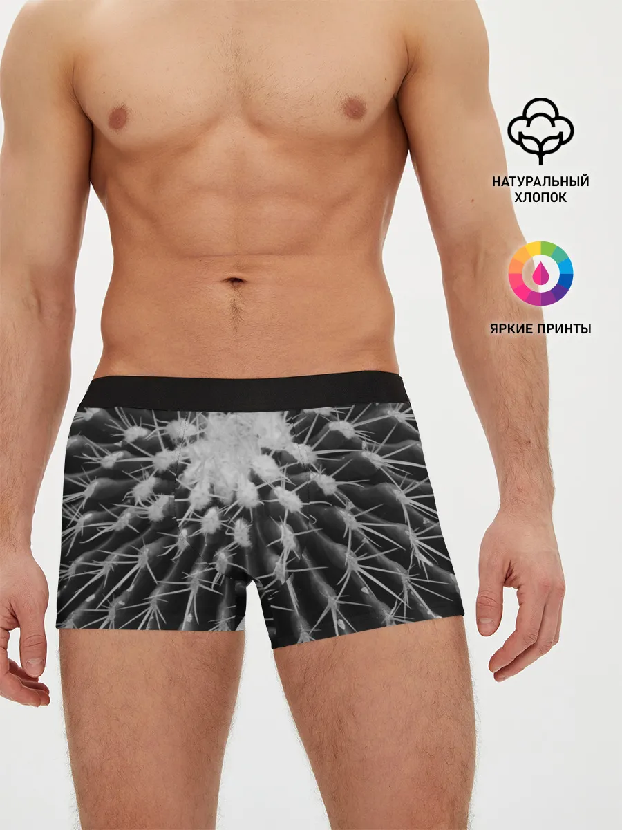 Мужские трусы боксеры / Кактусовый