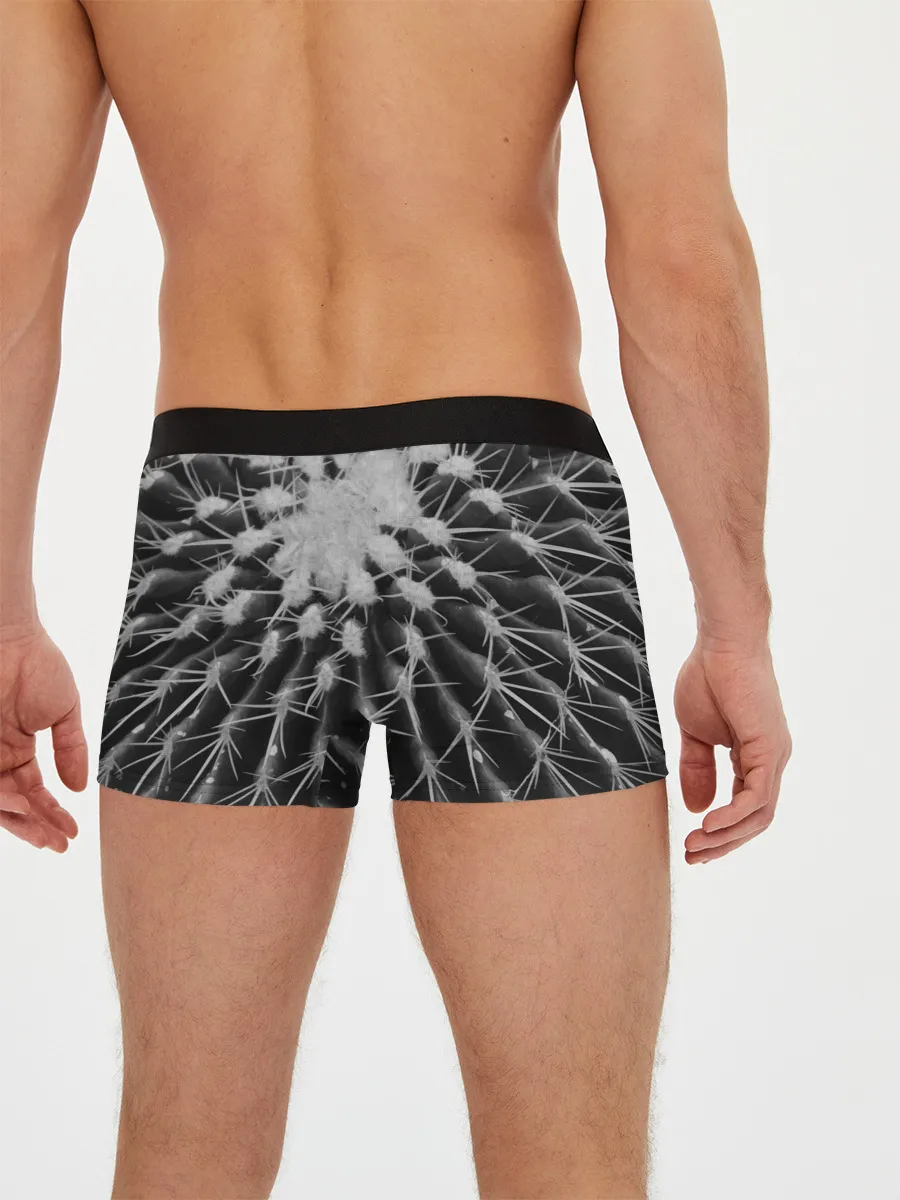 Мужские трусы боксеры / Кактусовый