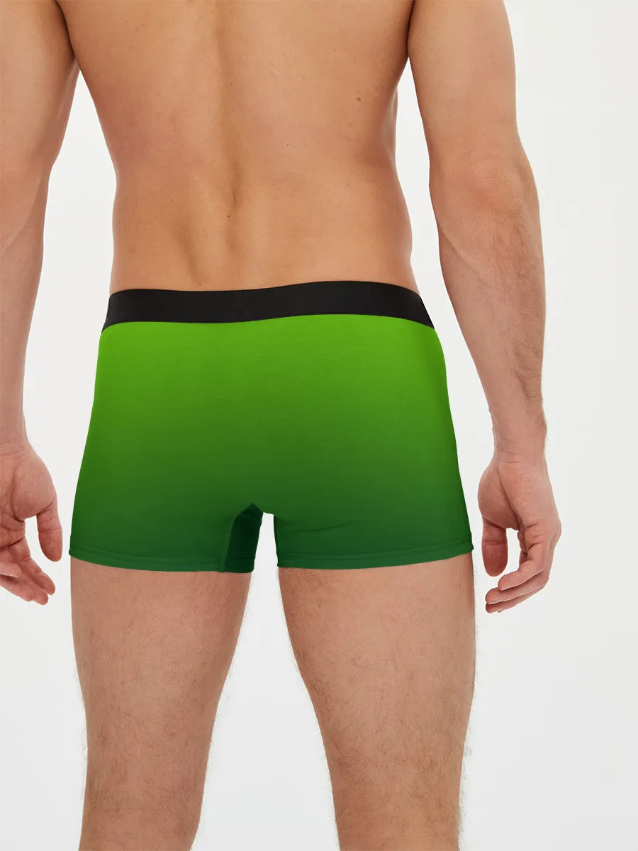 Мужские трусы боксеры / земляной анимешный дракон