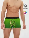 Мужские трусы боксеры / земляной анимешный дракон