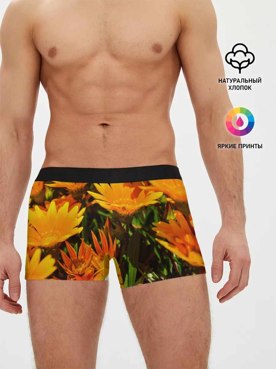 Мужские трусы боксеры / Желтый цвет весны