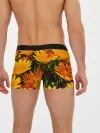 Мужские трусы боксеры / Желтый цвет весны
