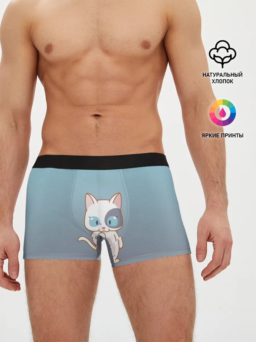 Мужские трусы боксеры / кот с мороженкой
