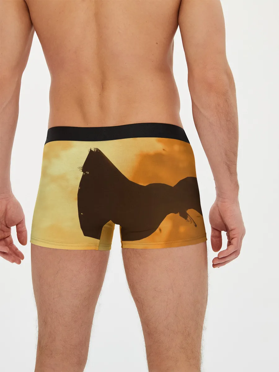 Мужские трусы боксеры / Ghost of Tsushima | Jin Sakai