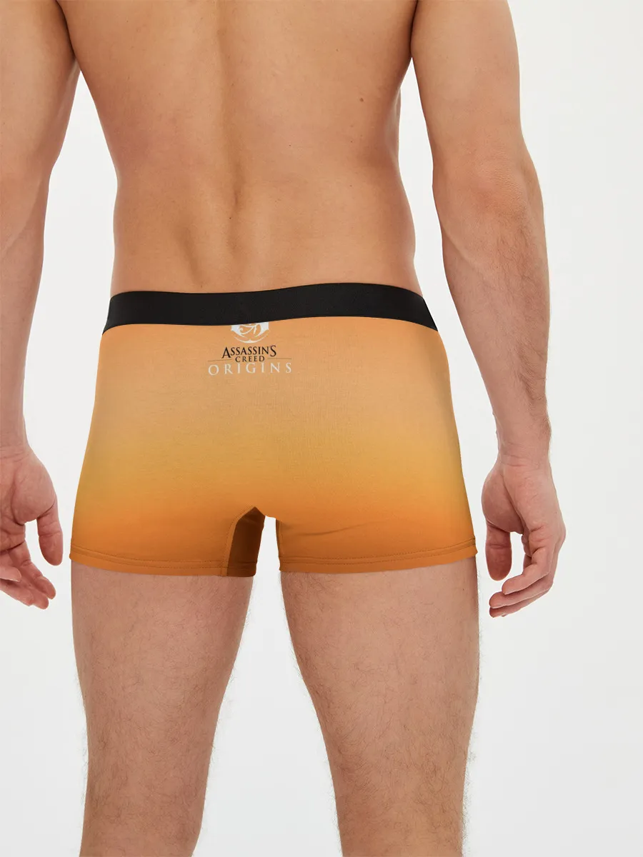 Мужские трусы боксеры / Assassin’s Creed Origins