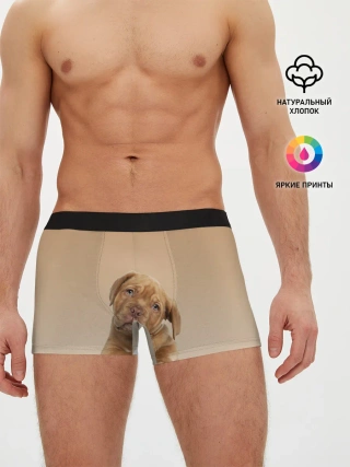 Мужские трусы боксеры / питбуль