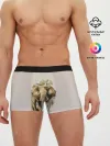 Мужские трусы боксеры / акварельный слон брызги