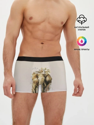 Мужские трусы боксеры / акварельный слон брызги