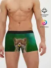 Мужские трусы боксеры / Лисенок нюхает цветок